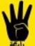 Hamed K...