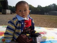 Yang Tao