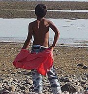 احمدرضا مرادی