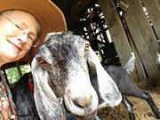 Elizabeth Cooperstein