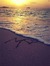 Maitha_K_145506