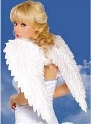 الملاك الابيض