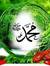 Yasser ...