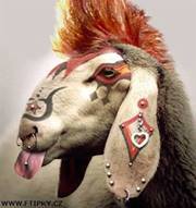 Юлия Груничева