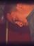 Adel Fathy