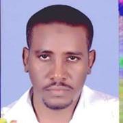 اسامة النصري