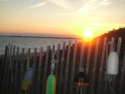 Eileen Varilly reardon