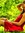 Divyaa | 19 comments
