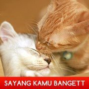 Ibnu Fajar