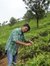 Praneet...