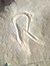 Rawan Khaled