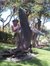 Sheri G...