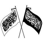 القاضي الفاضل