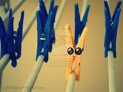 راجية الفردوس الأعلى