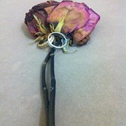 Abdalrahman Alsabbagh