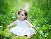 الوردة البيضاء