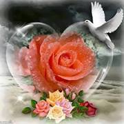 الصديقة الوفية