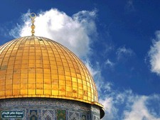 محمد عصام الدين