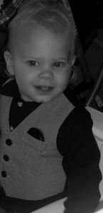 Traci Bollinger-page