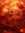 Dlb (dlb1040) | 33 comments