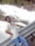 Rahul S...