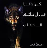 Dadi Ilef