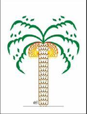 مرصد الساحل