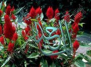 المدربة فادية