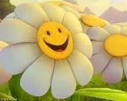 د.منال بوالوذنين