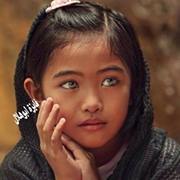 نورسين فلسطين