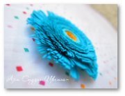 катерина стойчева