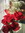 Renuka R | 20 comments