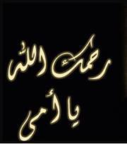 وائل ابراهيم