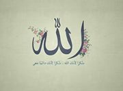 Mohamed Tarek