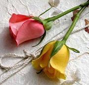 Saadia Bela