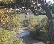 Ellen Cousins benham