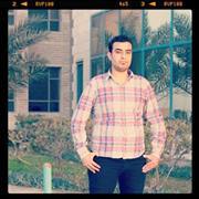 محمد الشوادفى