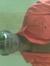 Octy Mokhothu