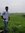 Arvin Arul