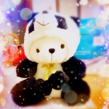 Catherine Cullen meow kong