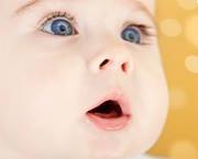 Shosho Saif