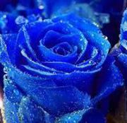 Enkhtsatsral Tsatsaa