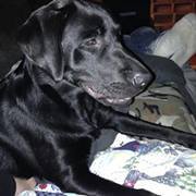 Katherine Blessinger