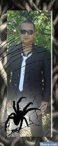 Mohamed Eldeghady