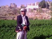 أحمد الضيفلي