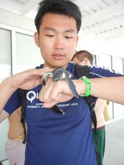 Haowei Chen