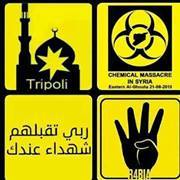 ربيع المير