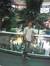 Pavan R...