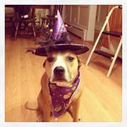 Marlene Sorette leger