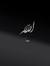 د. مصطفى